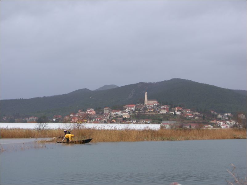 Poplava_u_Vidu_ (19)